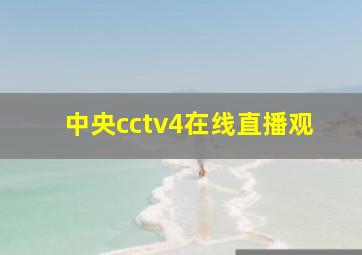 中央cctv4在线直播观