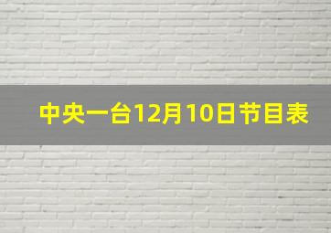 中央一台12月10日节目表