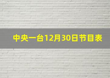 中央一台12月30日节目表