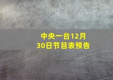 中央一台12月30日节目表预告