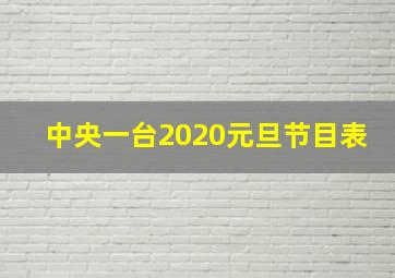 中央一台2020元旦节目表