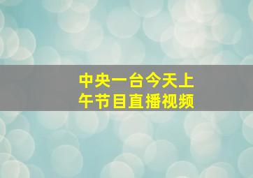 中央一台今天上午节目直播视频