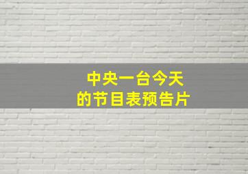 中央一台今天的节目表预告片