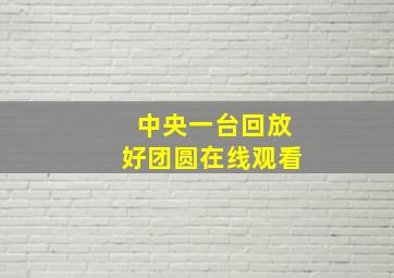 中央一台回放好团圆在线观看