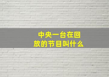 中央一台在回放的节目叫什么