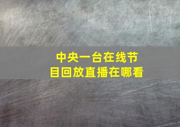 中央一台在线节目回放直播在哪看