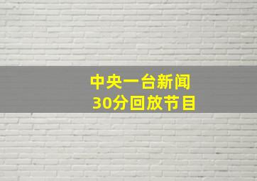 中央一台新闻30分回放节目