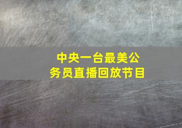 中央一台最美公务员直播回放节目