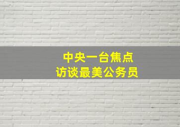 中央一台焦点访谈最美公务员