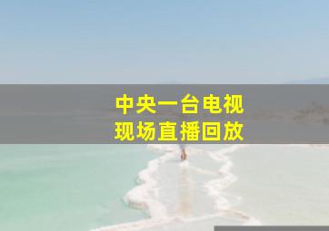 中央一台电视现场直播回放