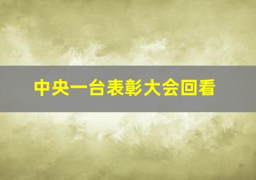 中央一台表彰大会回看