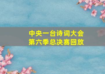 中央一台诗词大会第六季总决赛回放