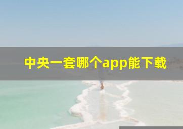 中央一套哪个app能下载