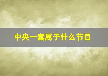 中央一套属于什么节目