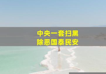 中央一套扫黑除恶国泰民安