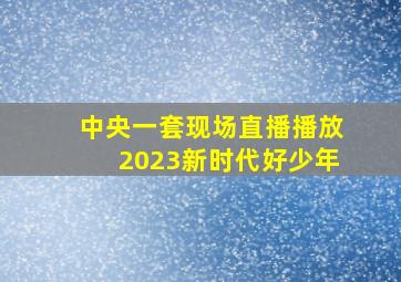 中央一套现场直播播放2023新时代好少年