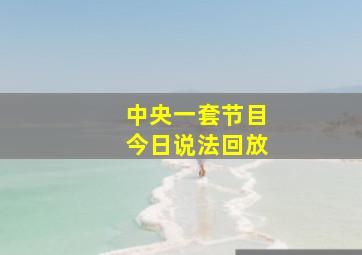 中央一套节目今日说法回放