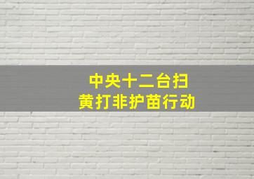 中央十二台扫黄打非护苗行动