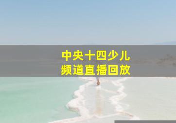 中央十四少儿频道直播回放