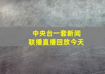 中央台一套新闻联播直播回放今天