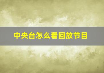 中央台怎么看回放节目