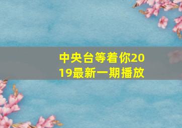 中央台等着你2019最新一期播放