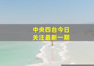 中央四台今日关注最新一期