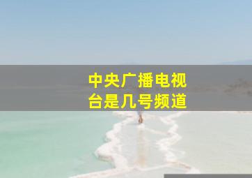 中央广播电视台是几号频道