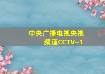 中央广播电视央视频道CCTV~1