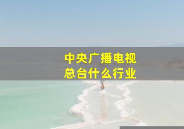 中央广播电视总台什么行业