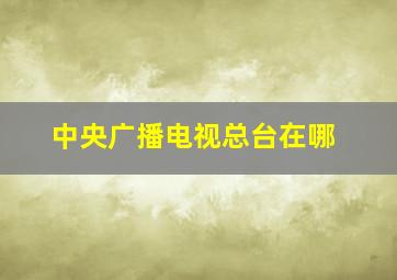 中央广播电视总台在哪