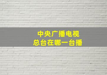 中央广播电视总台在哪一台播