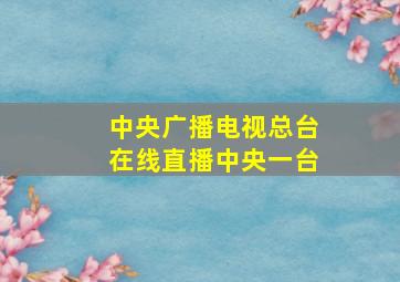 中央广播电视总台在线直播中央一台