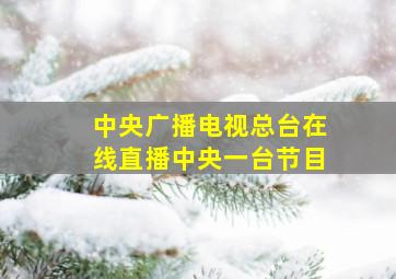 中央广播电视总台在线直播中央一台节目