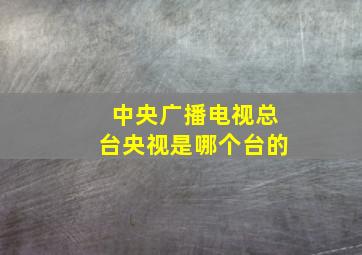 中央广播电视总台央视是哪个台的