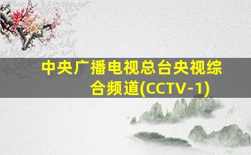 中央广播电视总台央视综合频道(CCTV-1)