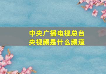 中央广播电视总台央视频是什么频道