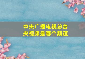 中央广播电视总台央视频是哪个频道