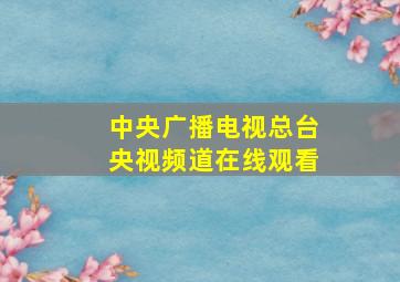 中央广播电视总台央视频道在线观看