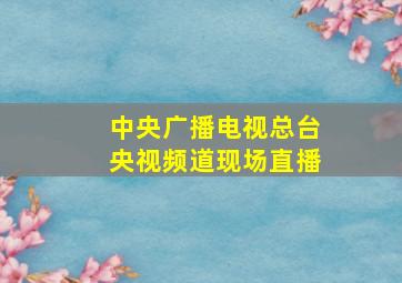 中央广播电视总台央视频道现场直播