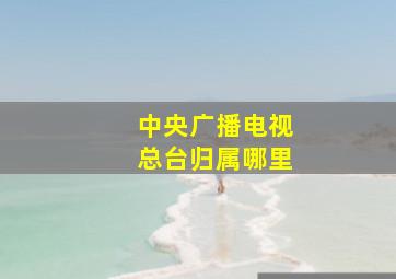 中央广播电视总台归属哪里