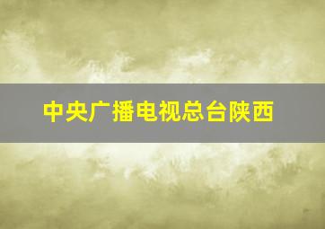 中央广播电视总台陕西