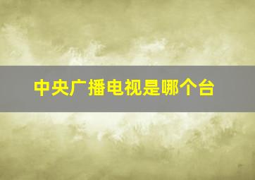 中央广播电视是哪个台