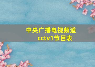 中央广播电视频道cctv1节目表