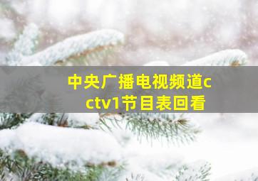 中央广播电视频道cctv1节目表回看