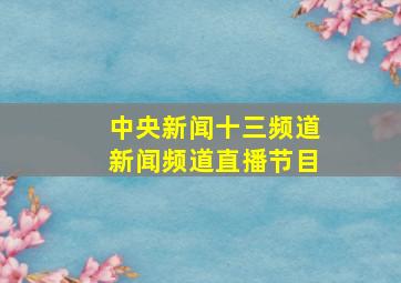 中央新闻十三频道新闻频道直播节目