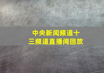 中央新闻频道十三频道直播间回放