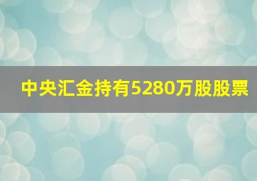 中央汇金持有5280万股股票