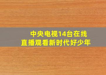 中央电视14台在线直播观看新时代好少年