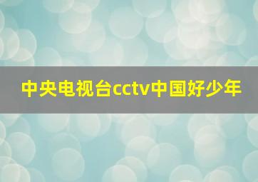 中央电视台cctv中国好少年